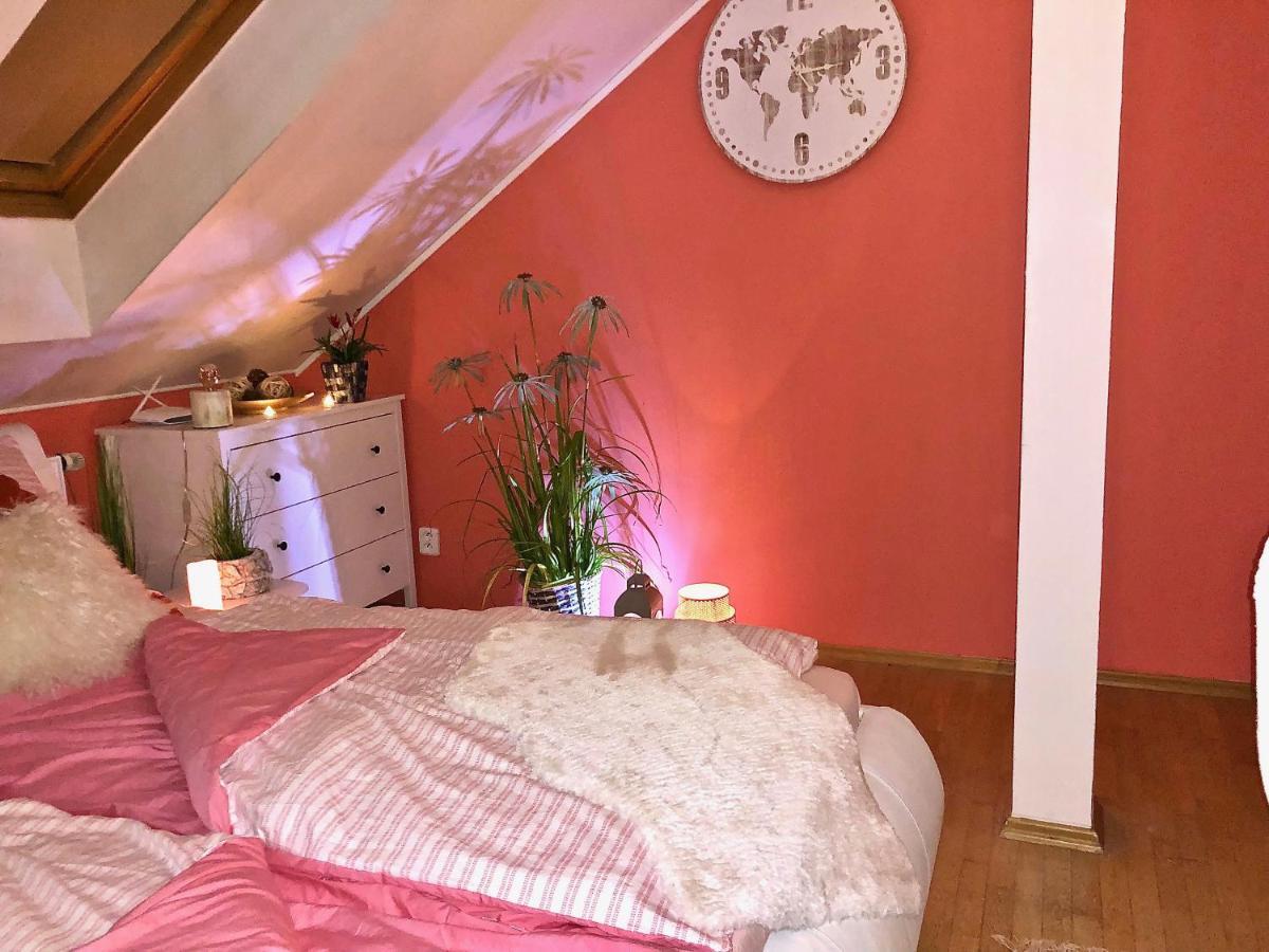 Appartamento Duplex With Quite Terrace On Wenceslas Sq. Praga